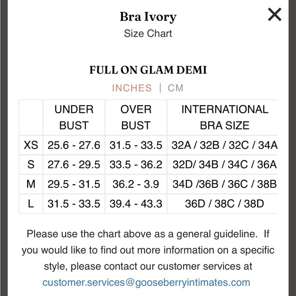 GOOSEBERRY INTIMATES Full On Glam Ivory Lace Bra - Size Medium - Picture 6 of 7